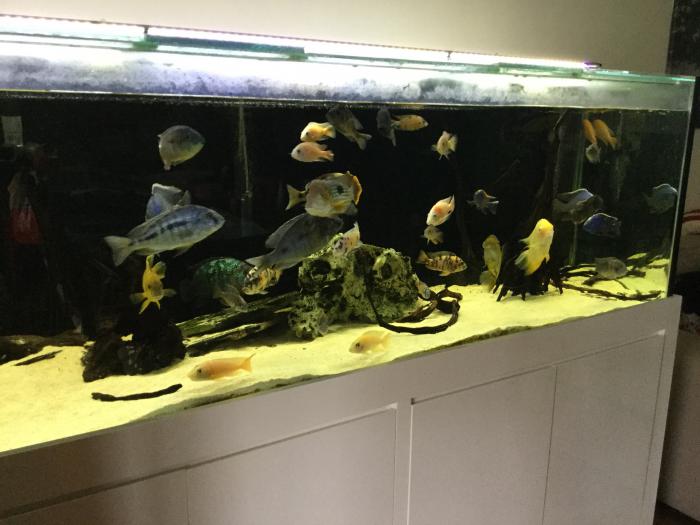 industrial modern fish tank stand